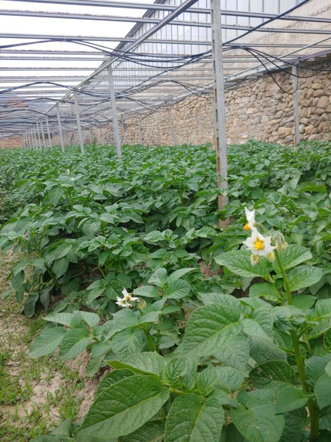 Agriturismo Ca Du Bega อาร์มา ดิ ตัจจา ภายนอก รูปภาพ